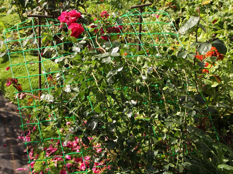 White Garden Trellis Netting Plant Support Grow Mesh Netting Cucumber Climbing